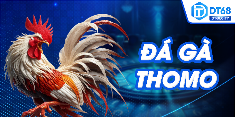 Đá gà thomo