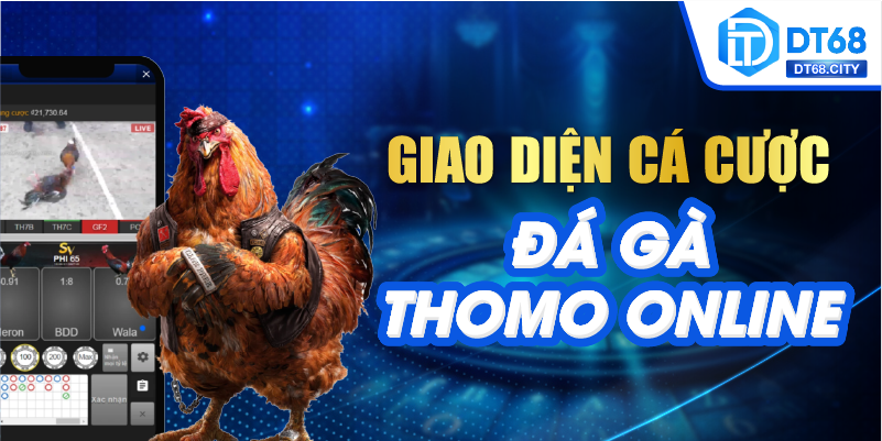 Giao diện cá cược Đá Gà Thomo Online