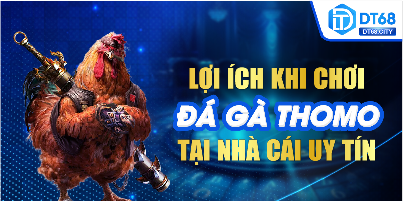 Lợi ích khi chơi Đá Gà Thomo tại nhà cái uy tín