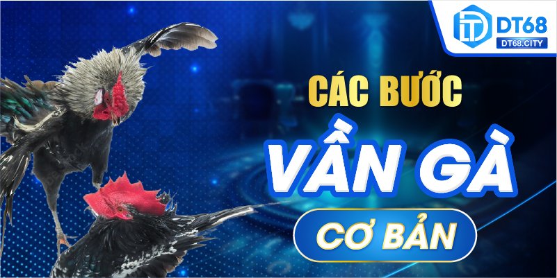 Các bước vần gà cơ bản