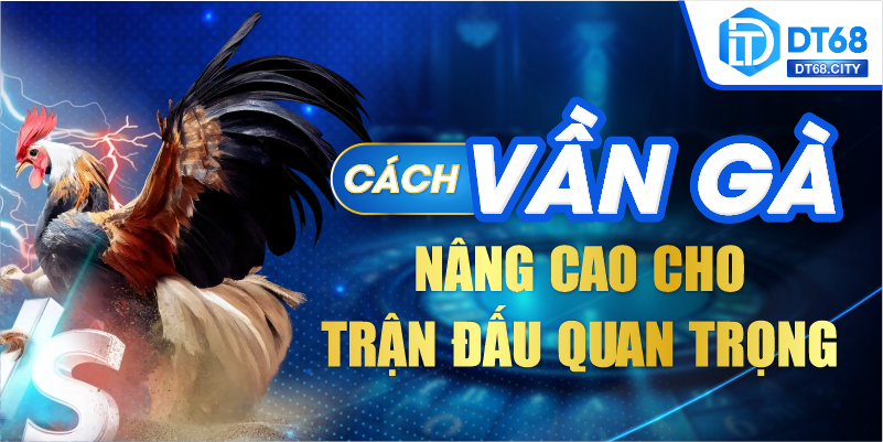 Cách vần gà nâng cao cho trận đấu quan trọng