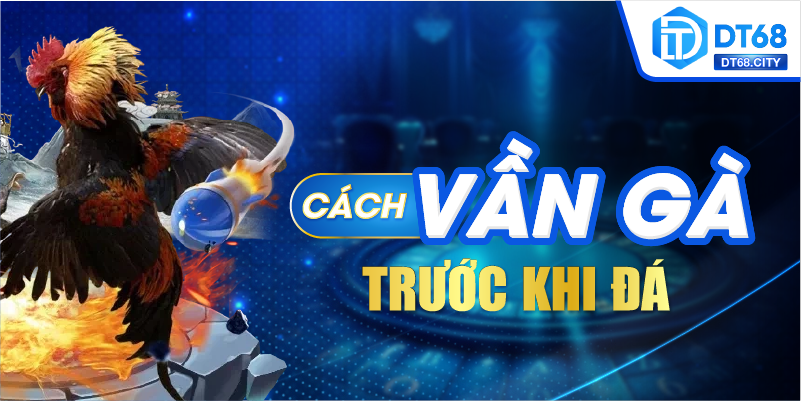 Cách vần gà trước khi đá