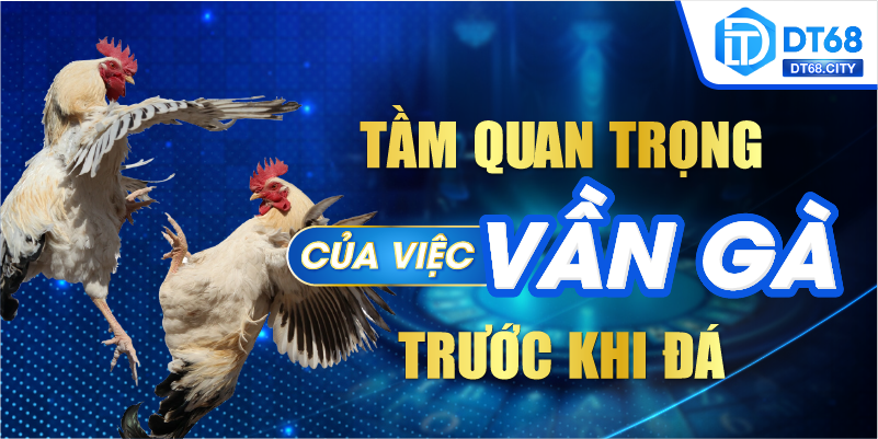 Tầm quan trọng của việc vần gà trước khi đá