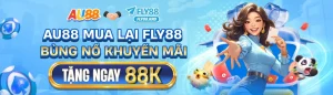 Fly88 trò chơi cá cược hàng đầu tại Việt Nam
